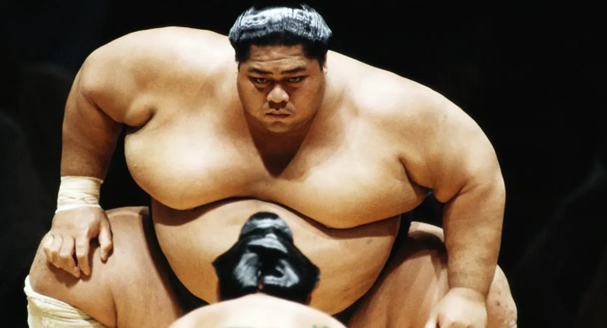 National Geographic: Inside Sumo's Ultimate Clash