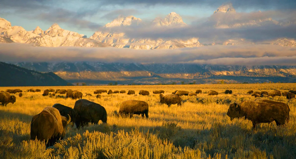 America's National Parks