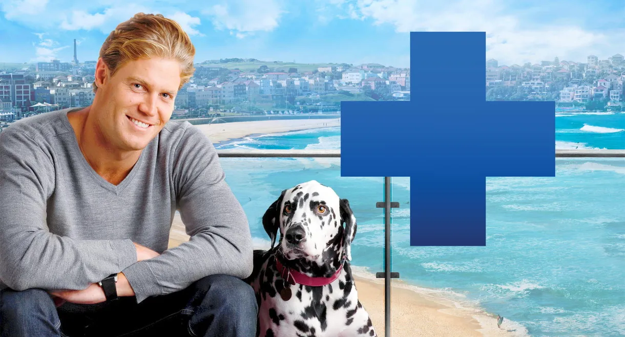 Bondi Vet