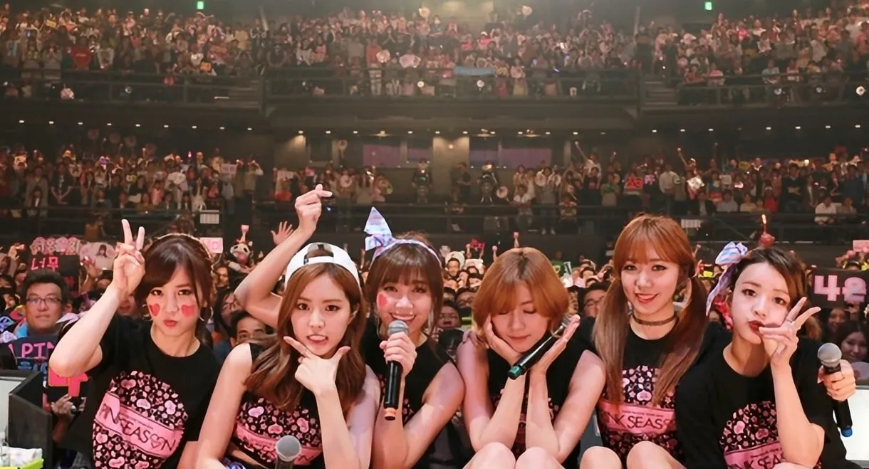 Apink 1st LIVE TOUR 2015 ~PINK SEASON~