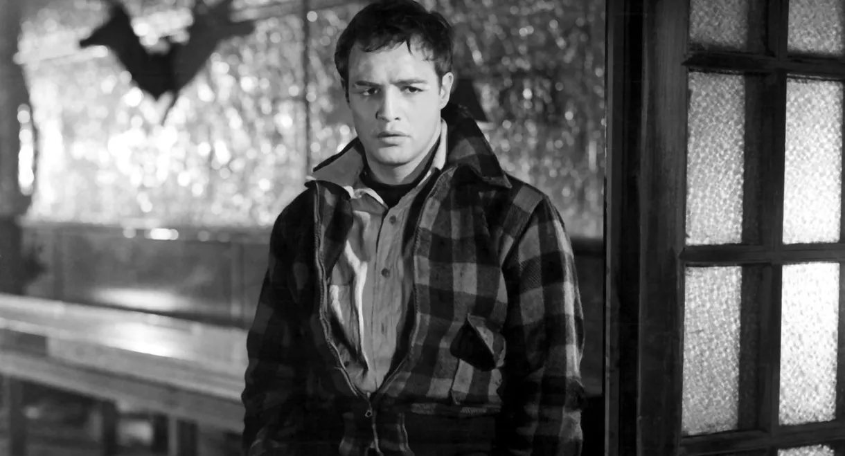 Contender: Mastering the Method