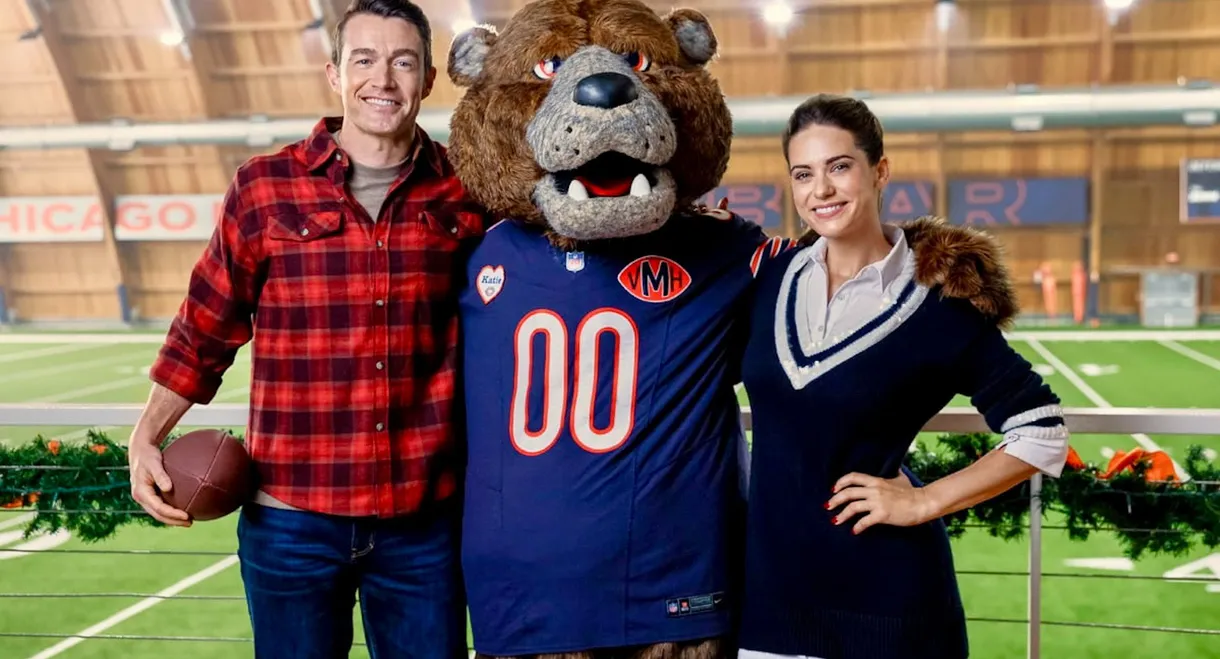 Holiday Touchdown: A Bears Love Story