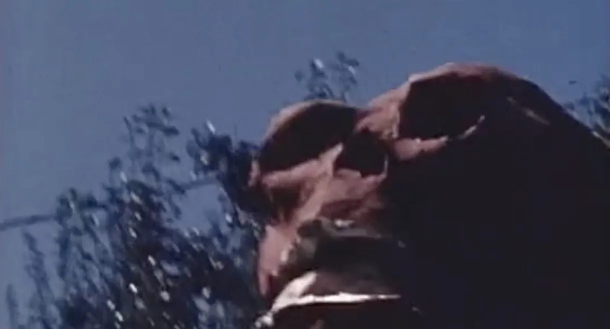 Captain America Battles the Red Skull