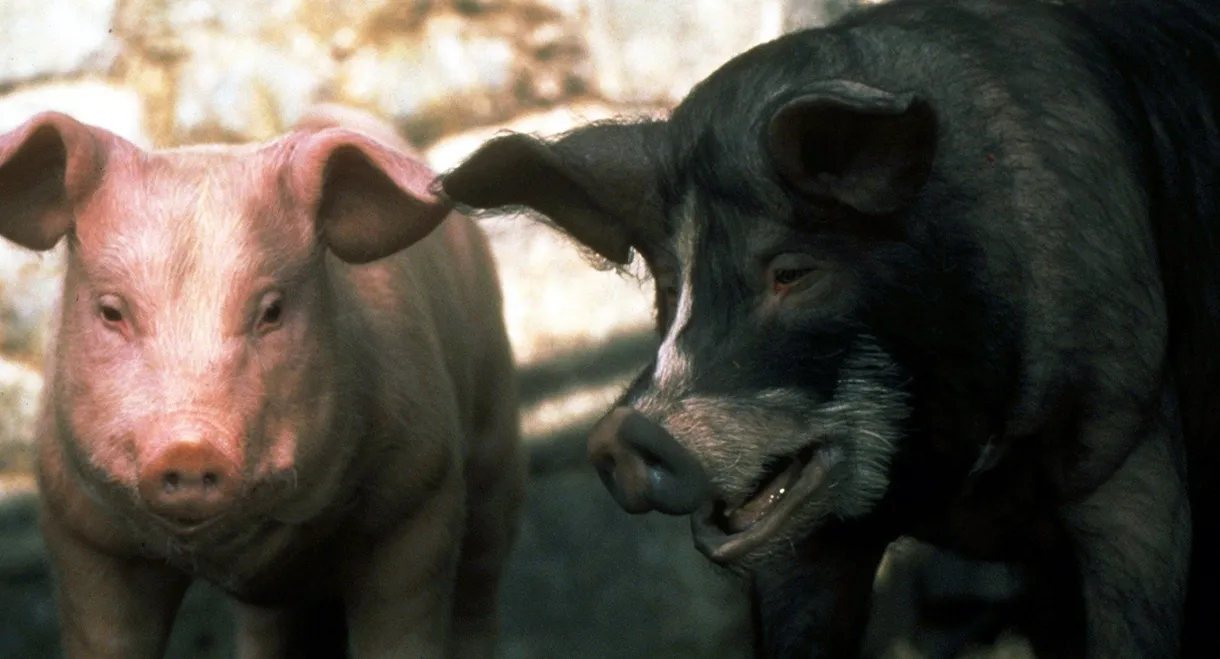 Animal Farm