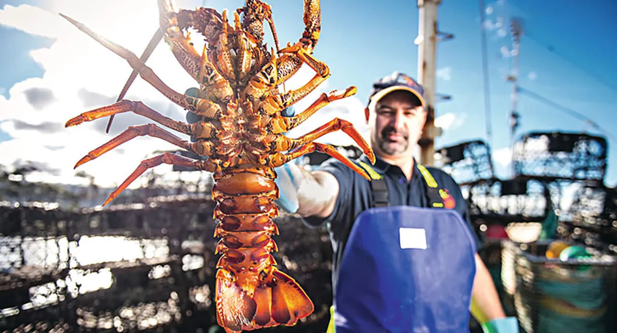 Aussie Lobster Men