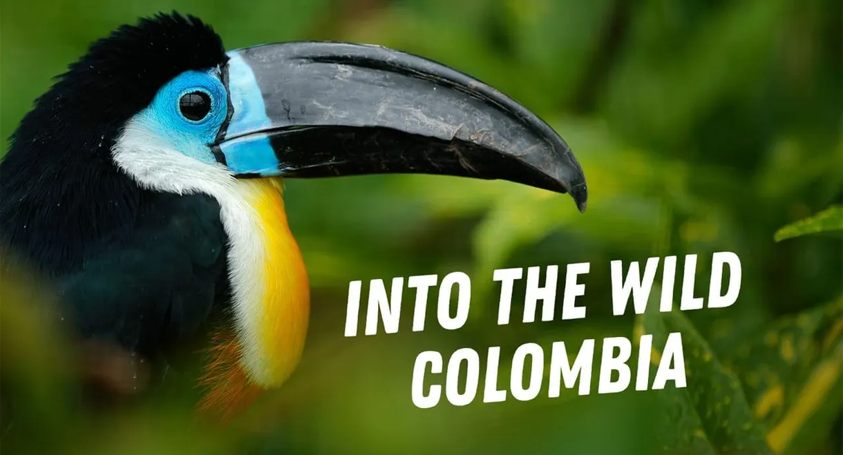 Into the Wild: Colombia