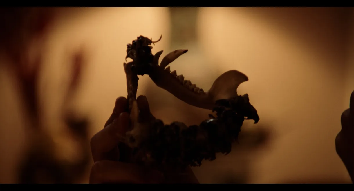The Witchening