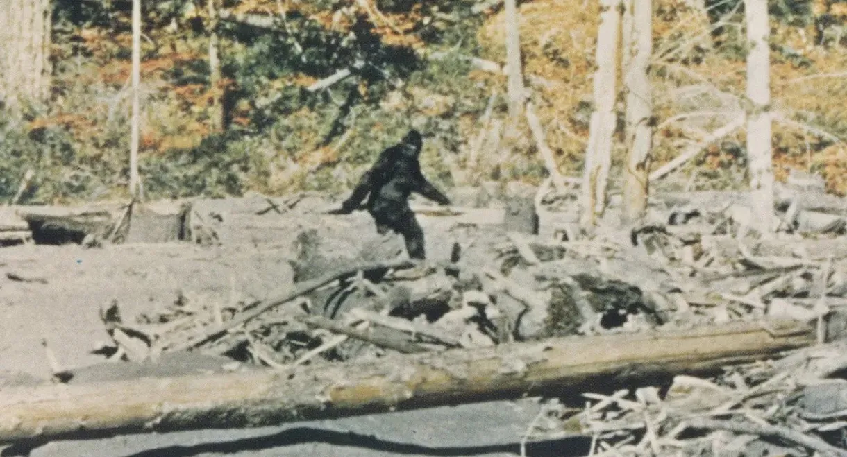 Bigfoot: Man or Beast?