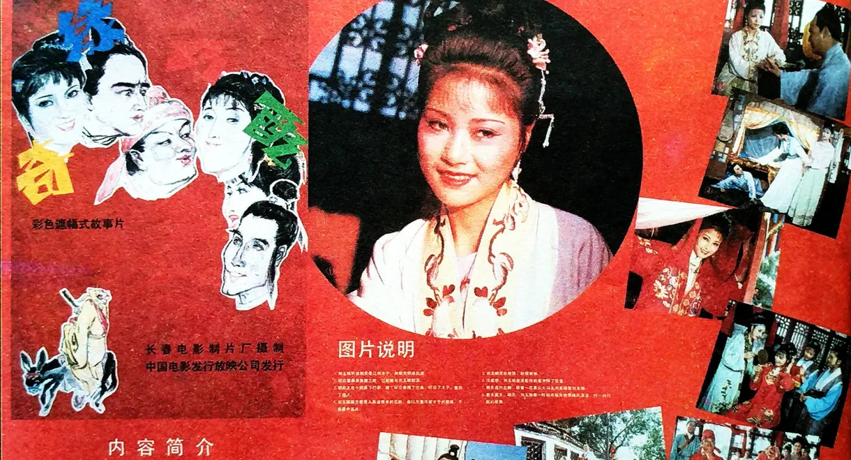 奇缘巧配