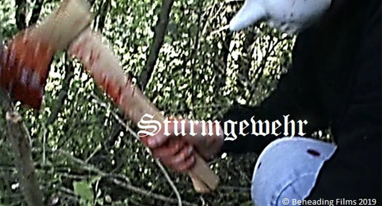 Sturmgewehr