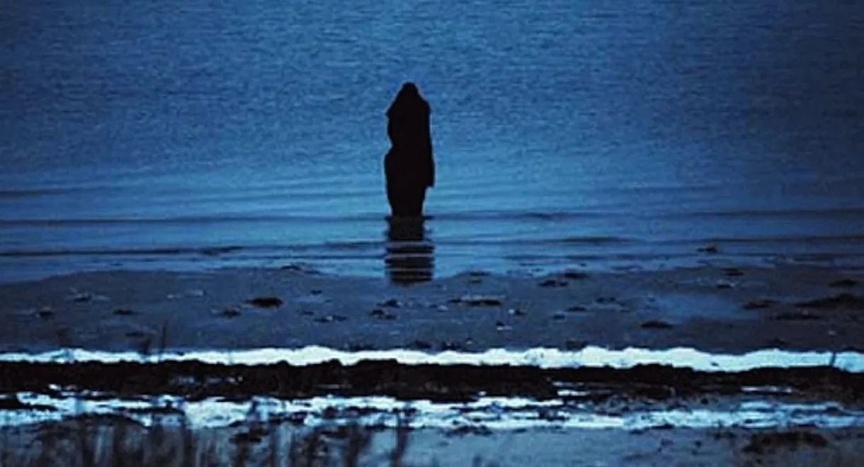 Steven Wilson: Catalogue / Preserve / Amass