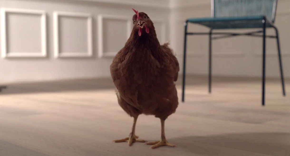 The Eye of the Hen