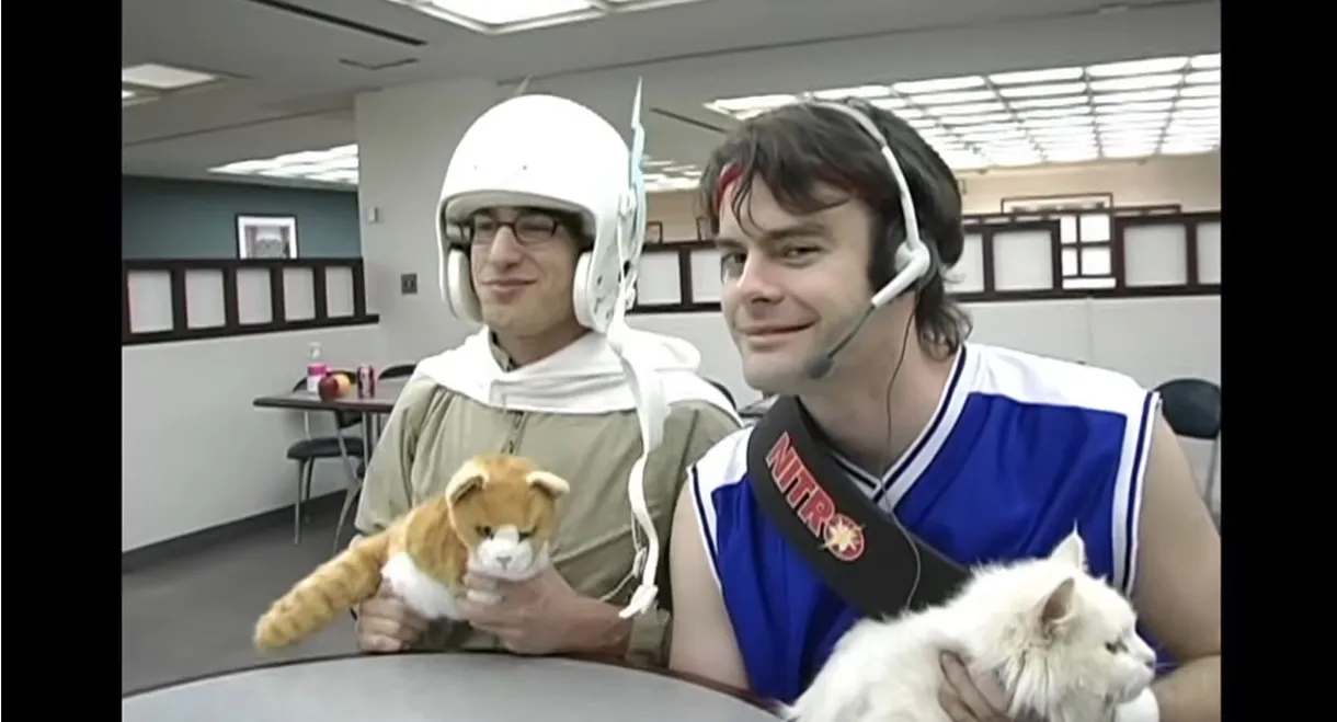 Laser Cats!