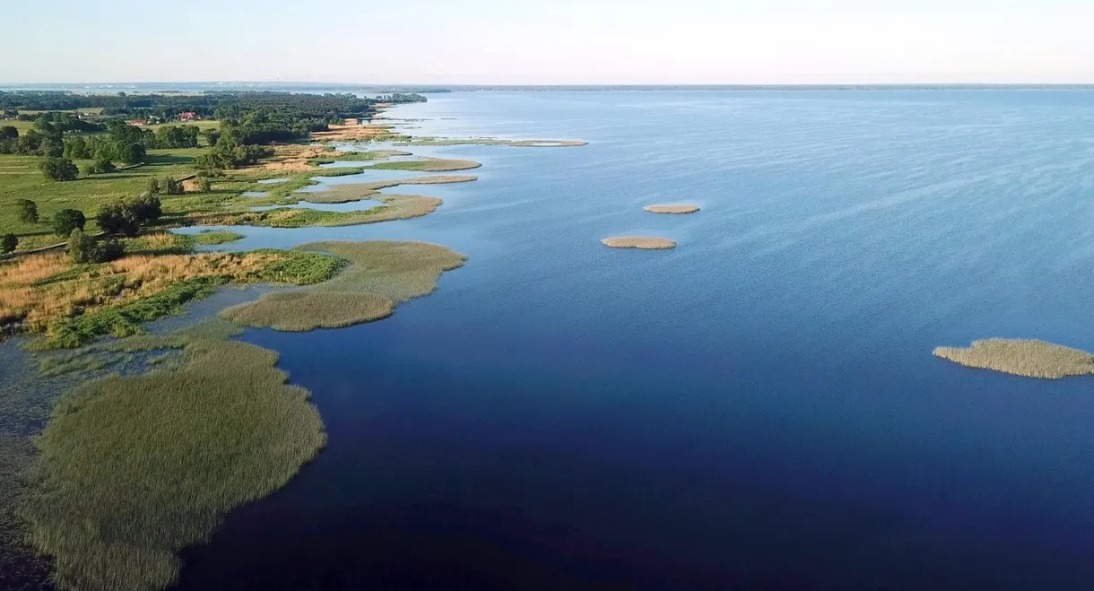 The Oder-Delta - A Wilderness without Borders