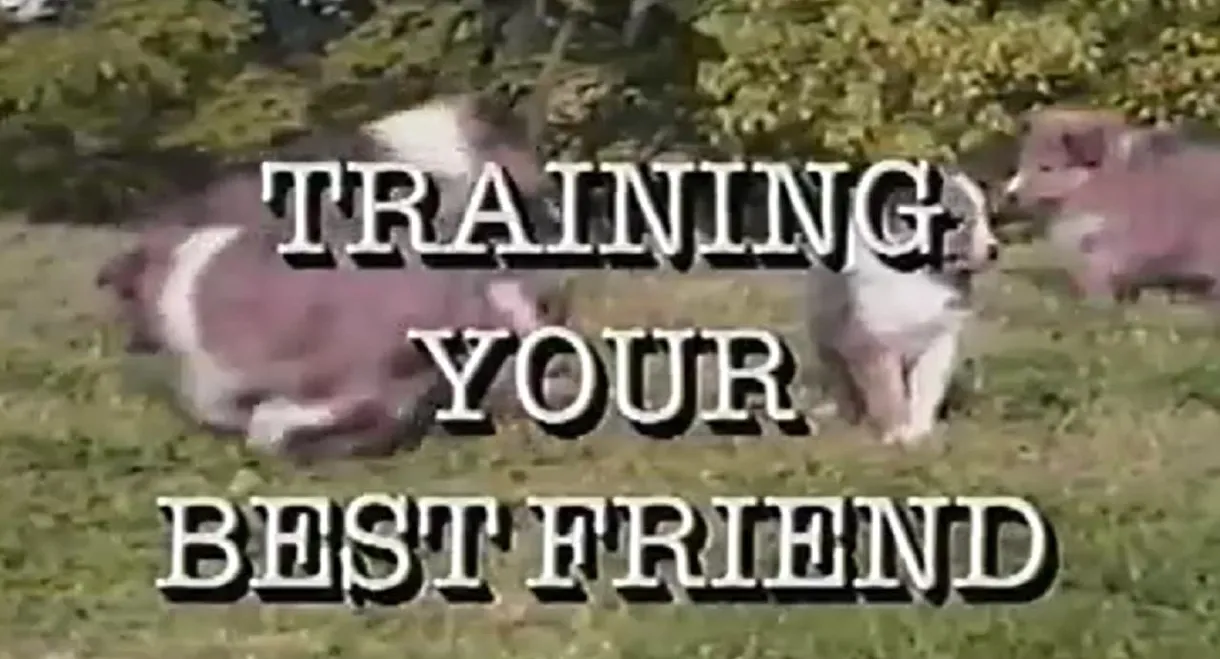Training Your Best Friend