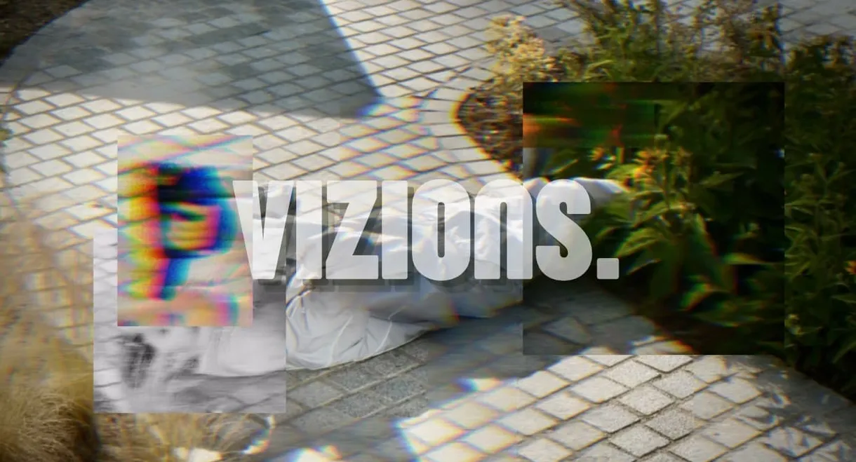 Vizions