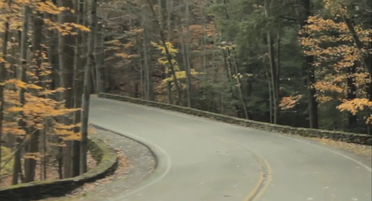 Fall