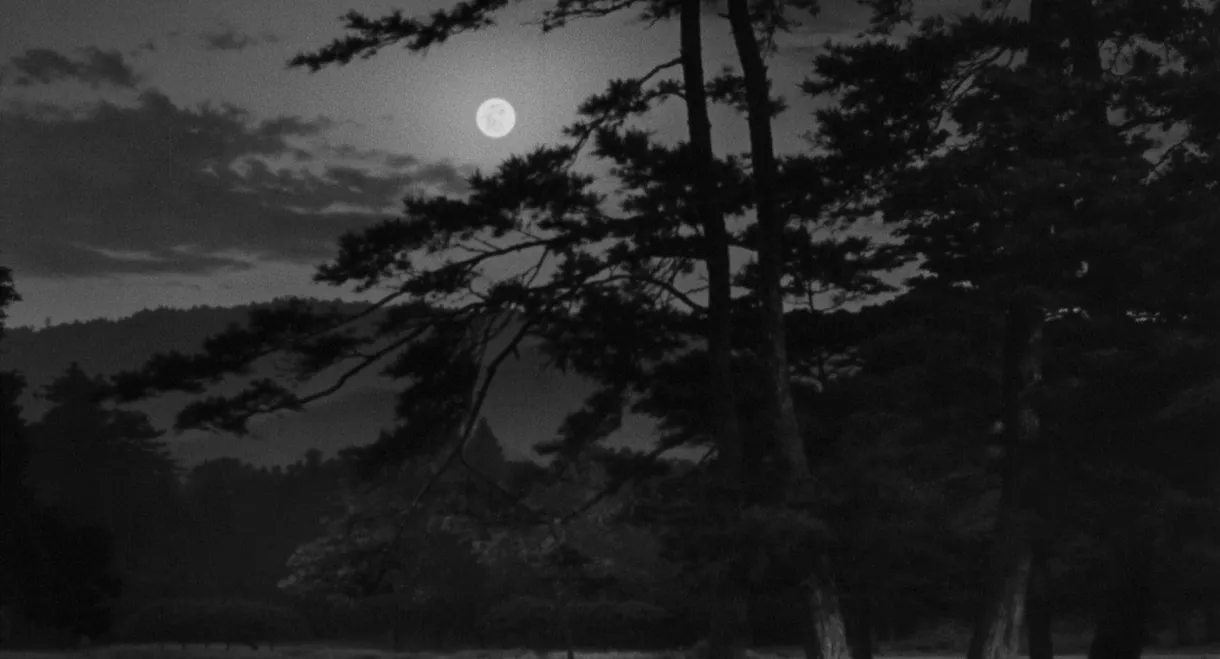 The Moon Has Risen
