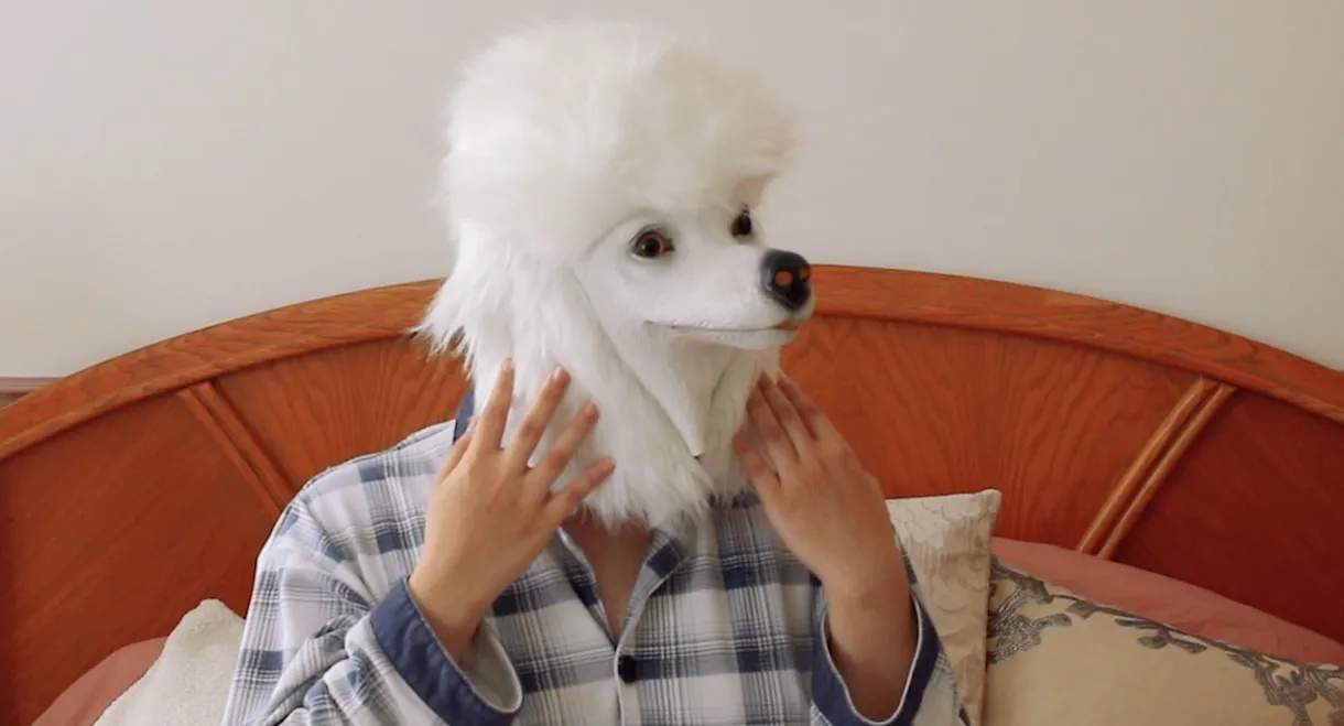 I Wish I Was A Dog