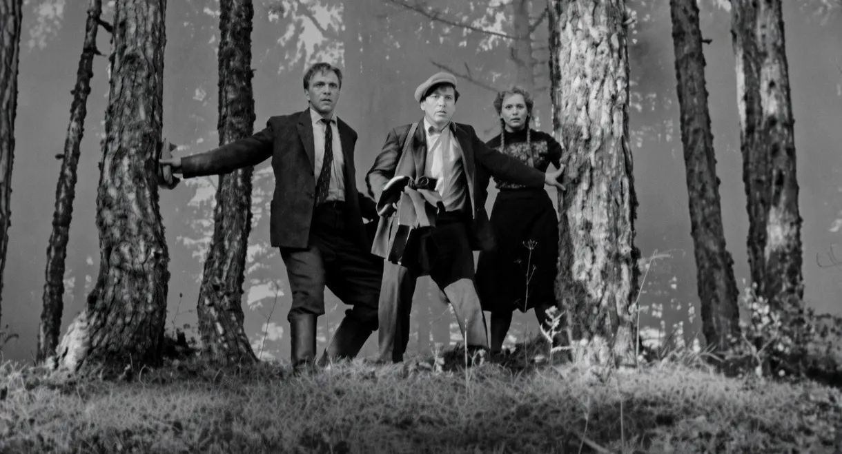 Three Came Out of the Woods