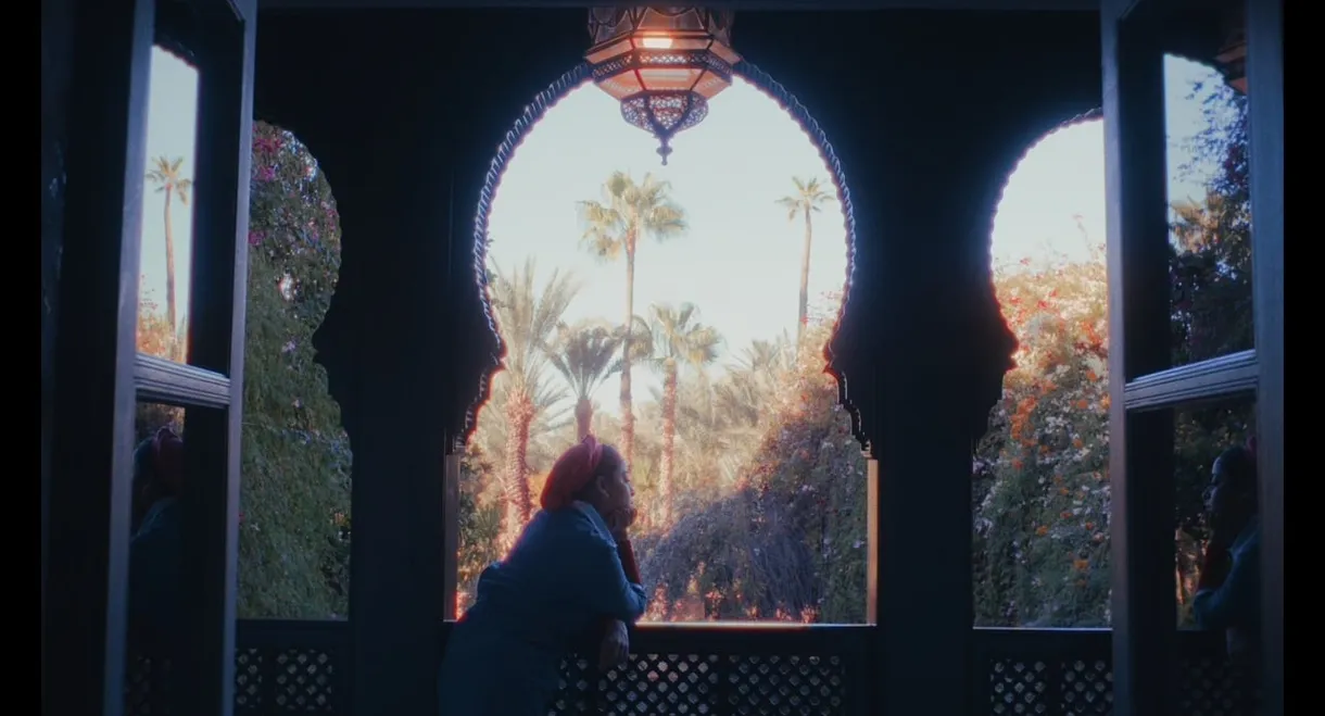 The Roses of Marrakesh