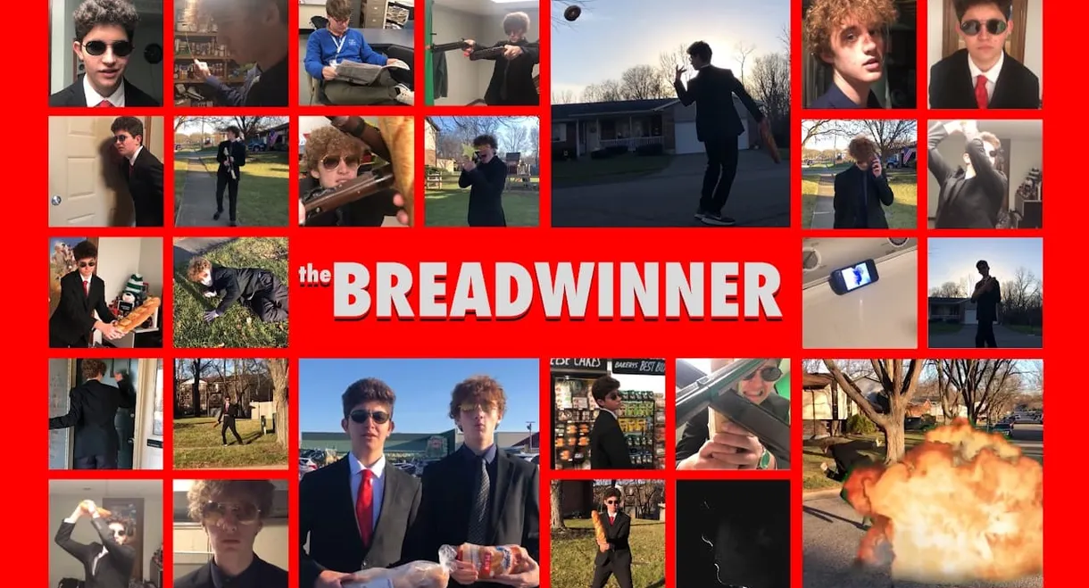 The Breadwinner