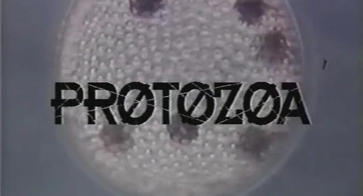 Protozoa