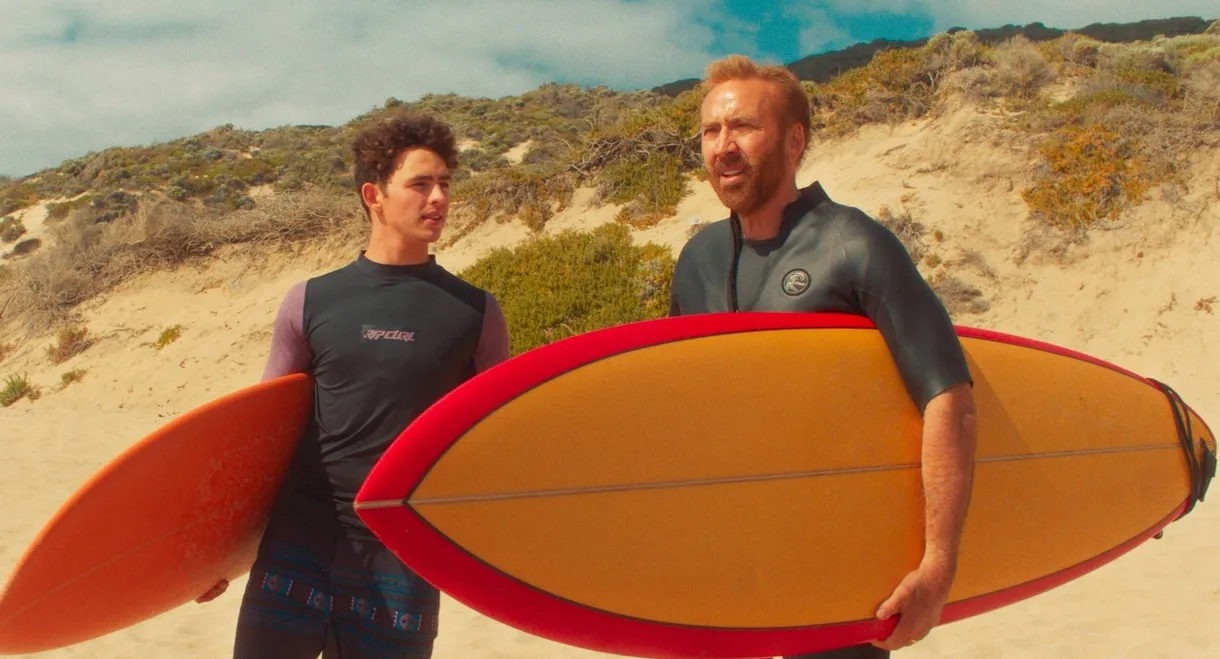 The Surfer