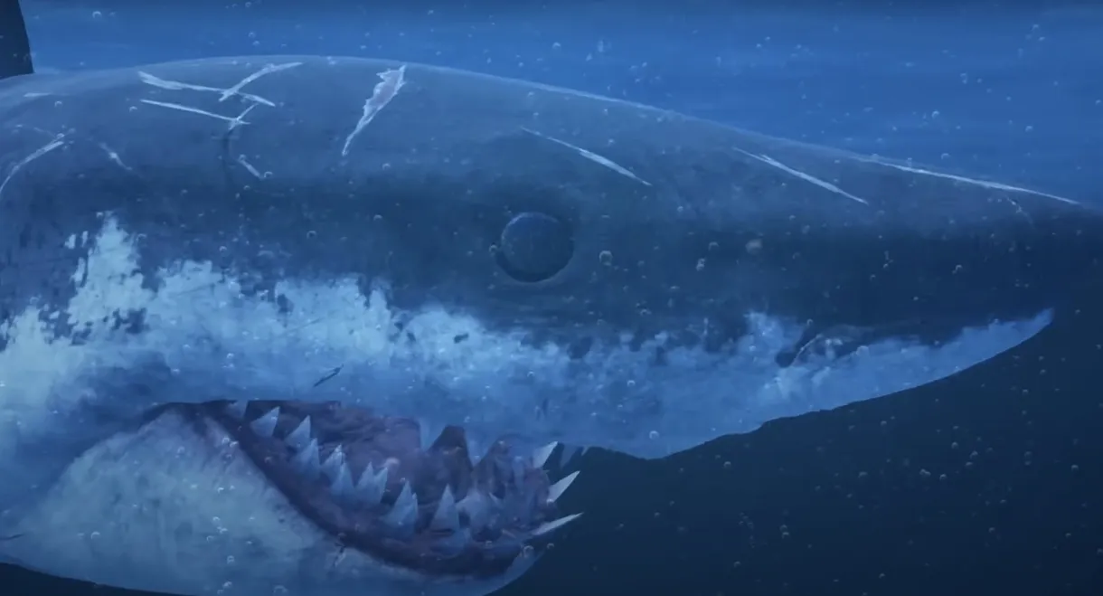 Mummy Shark
