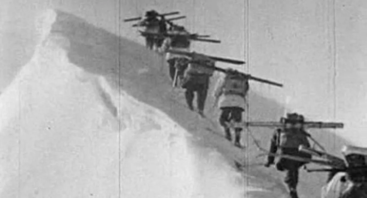 Comrades under Edelweiss