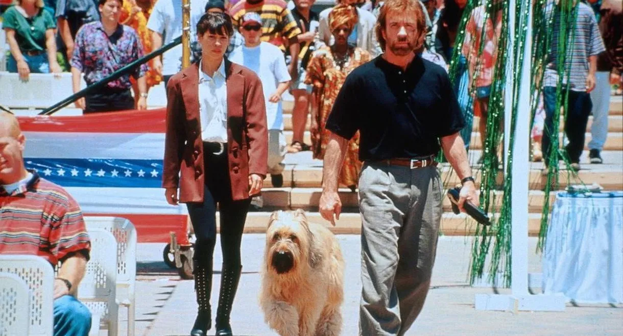 Top Dog