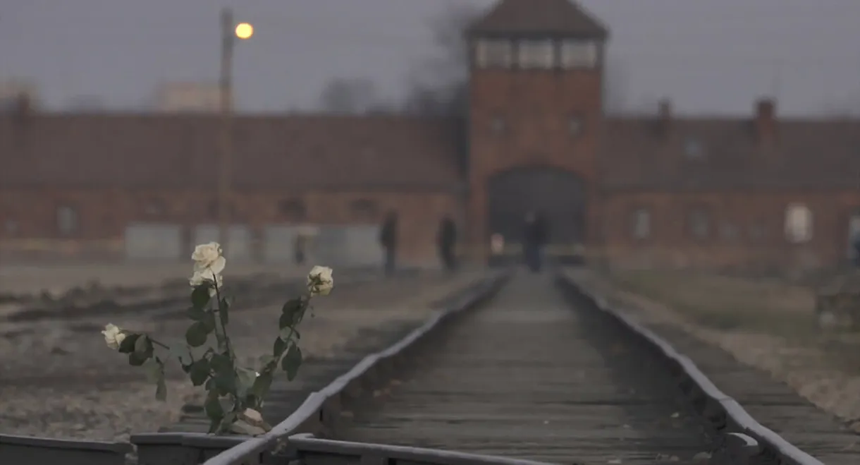 Inferno: Letters from Auschwitz
