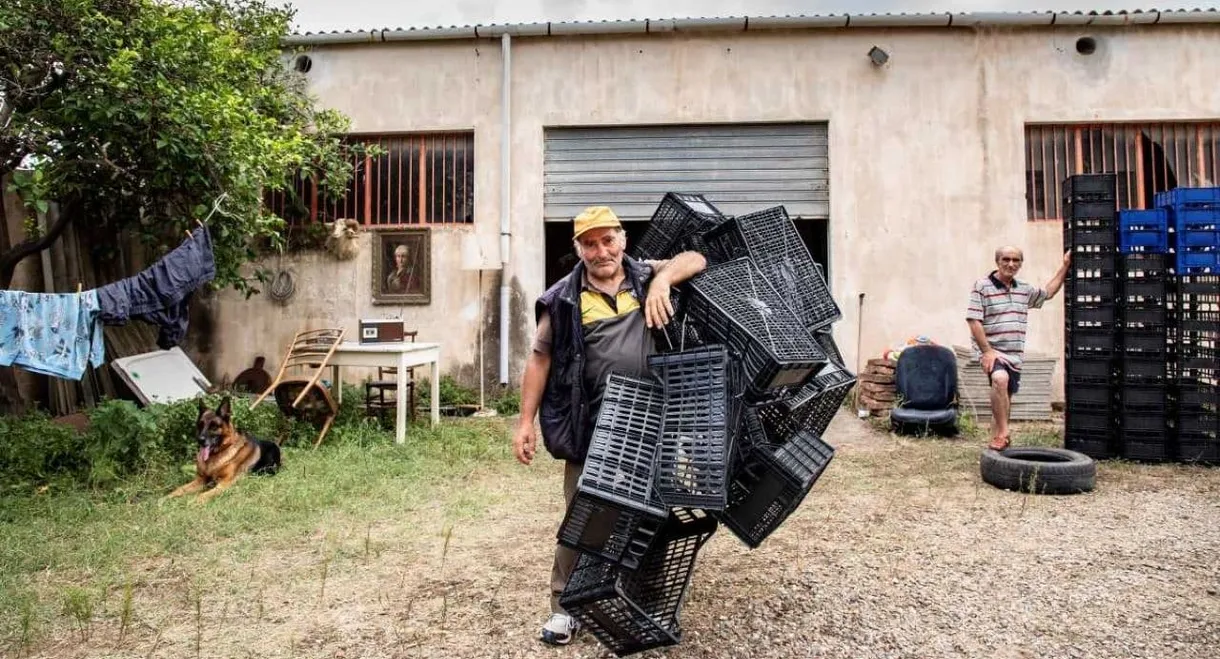 L'uomo del mercato