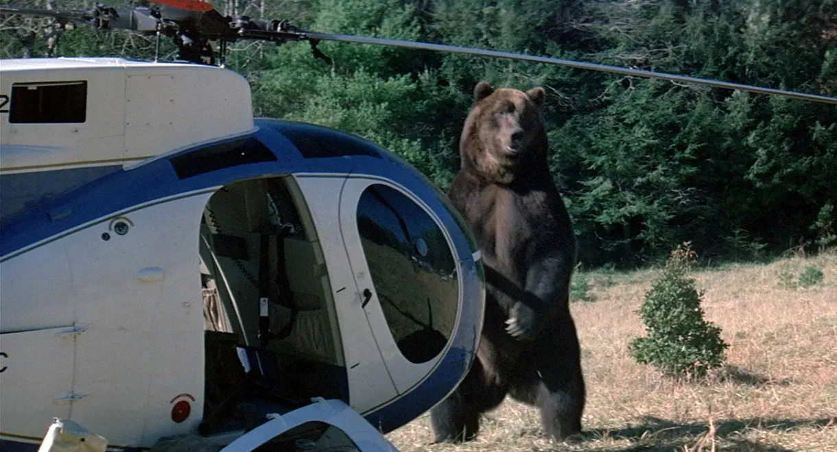 Grizzly