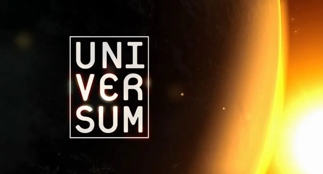 Universum