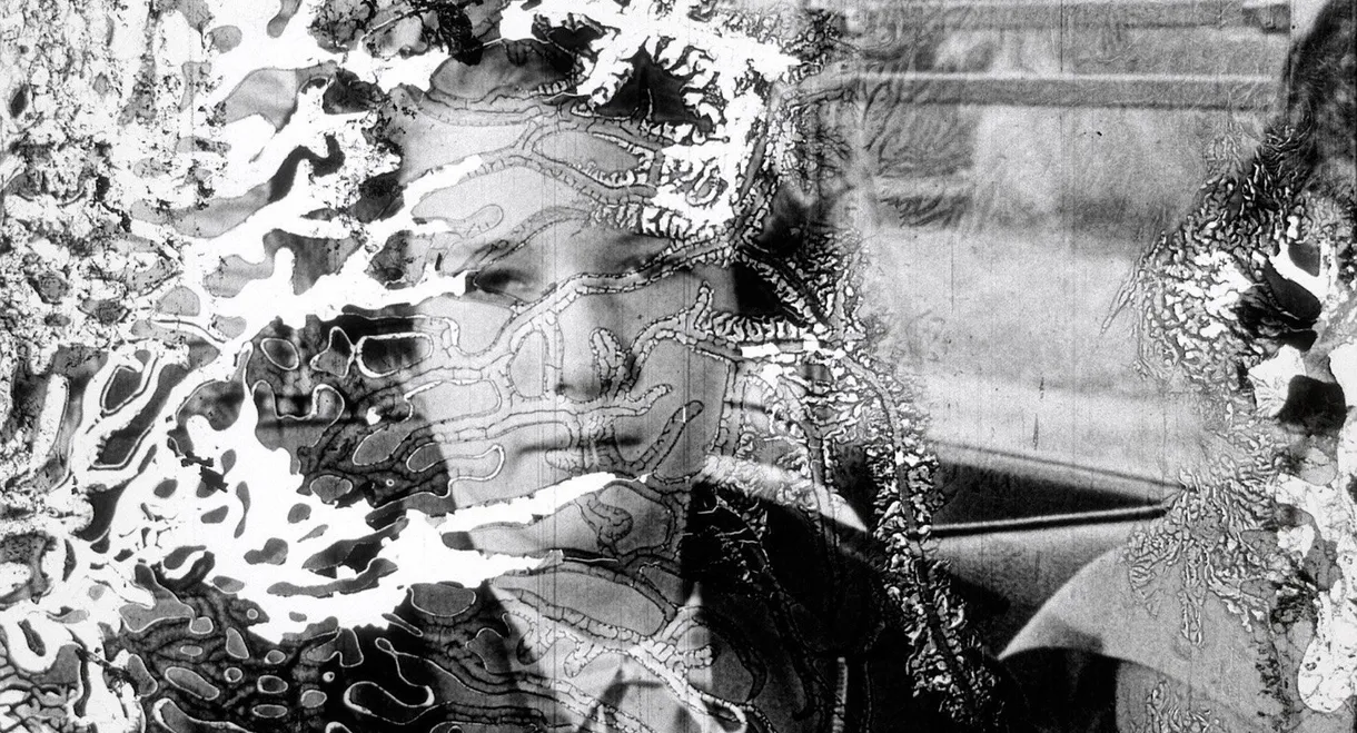 Decasia: The State of Decay