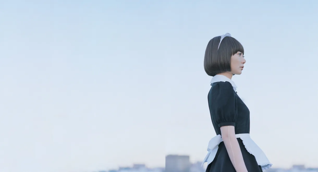 Air Doll