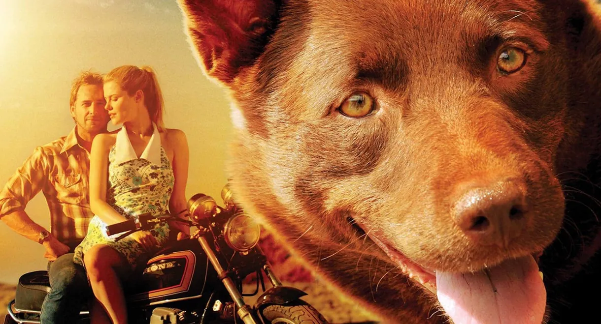 Red Dog