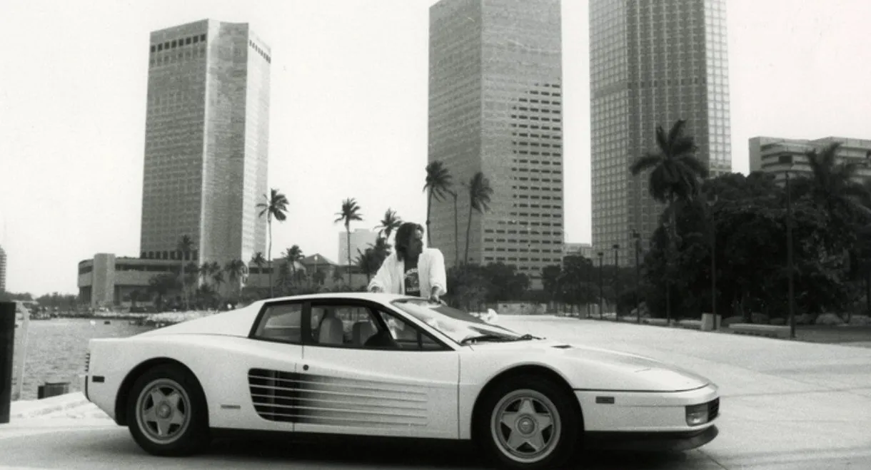 Miami Vice: Freefall