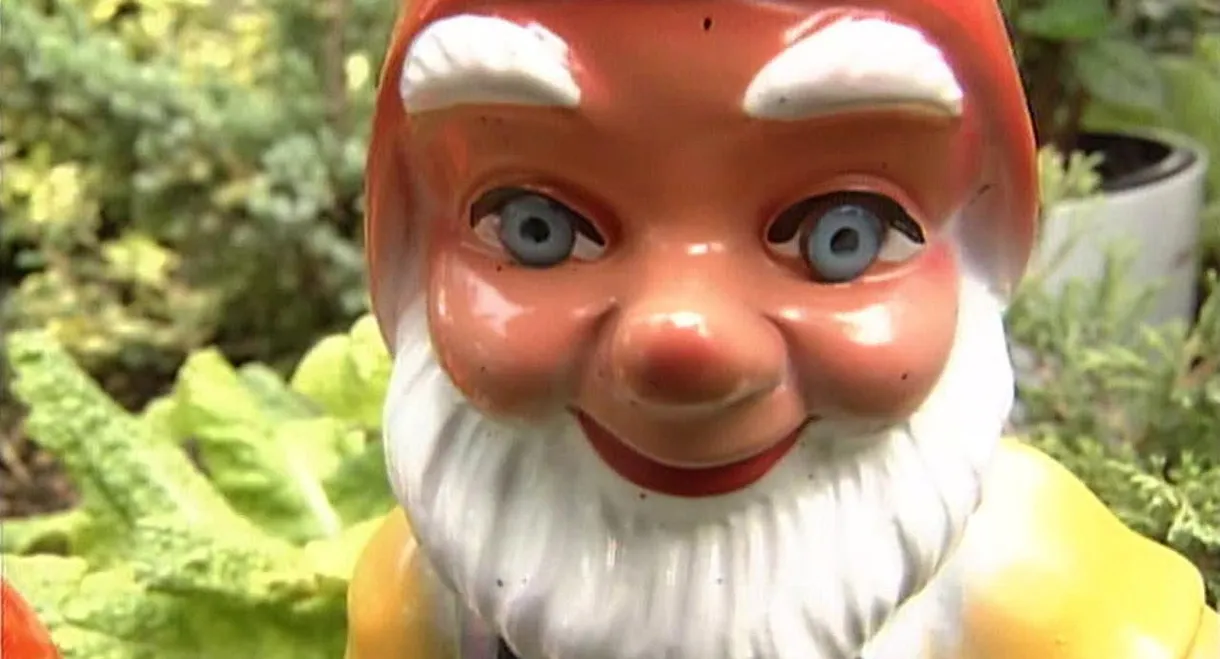 Alltagsgeschichte – Das kleine Glück im Schrebergarten