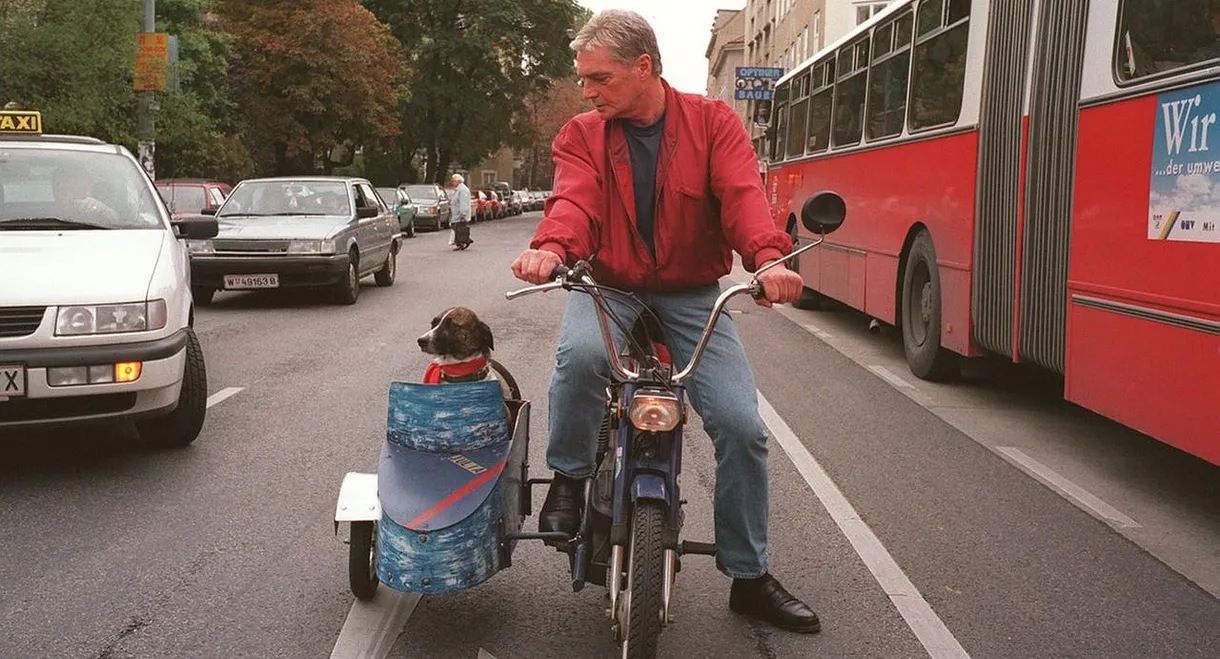 Alltagsgeschichte – Niederhofstraße Untermeidling