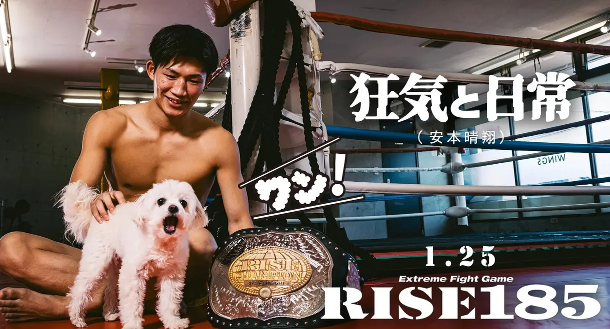 RISE 185