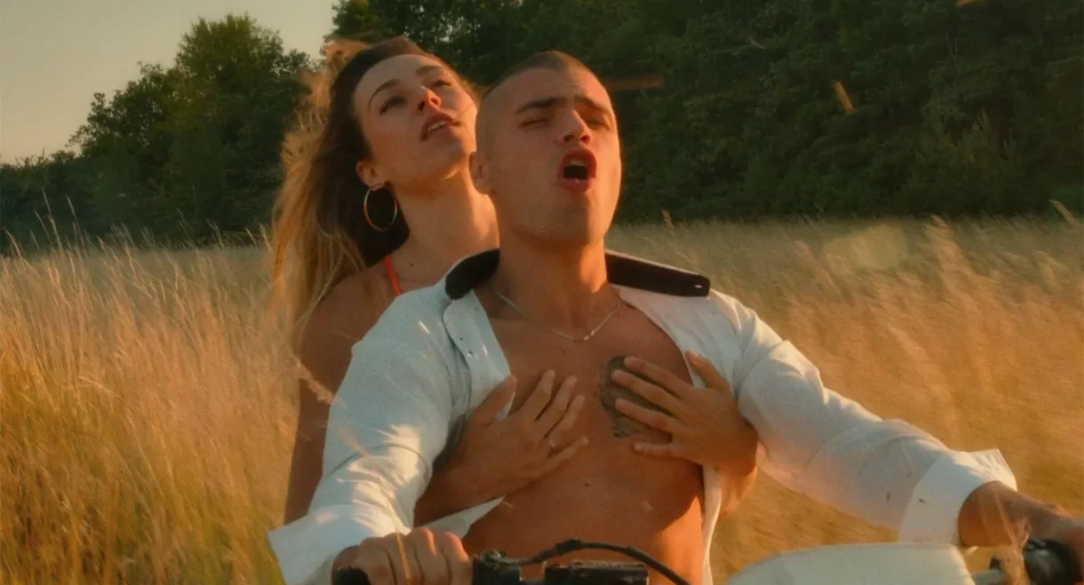 Vache Folle