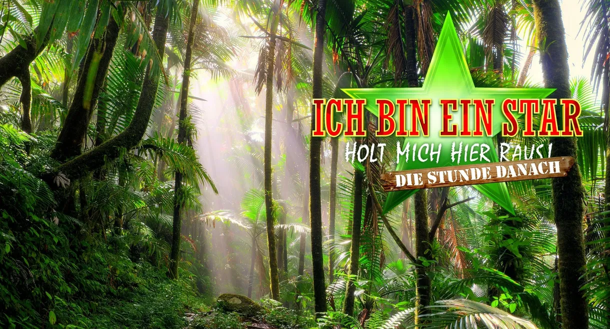 Ich bin ein Star – Holt mich hier raus! Die Stunde danach