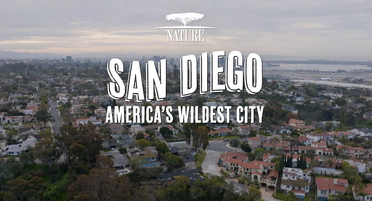 San Diego: America's Wildest City