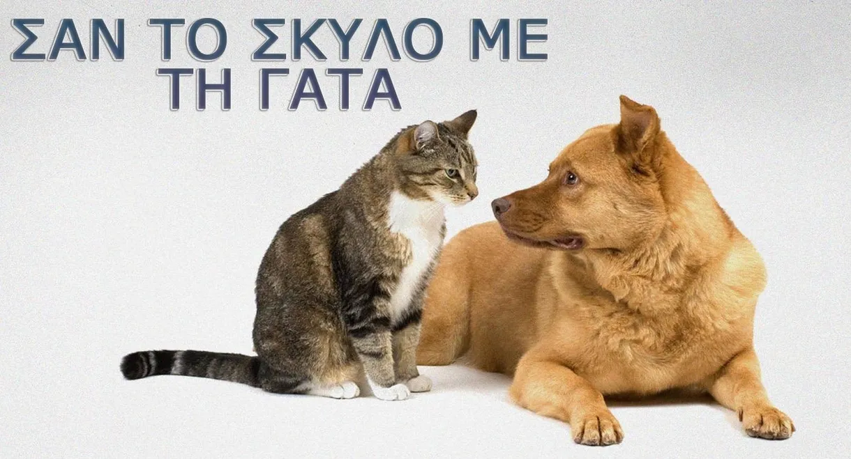 Σαν τον σκύλο με τη γάτα