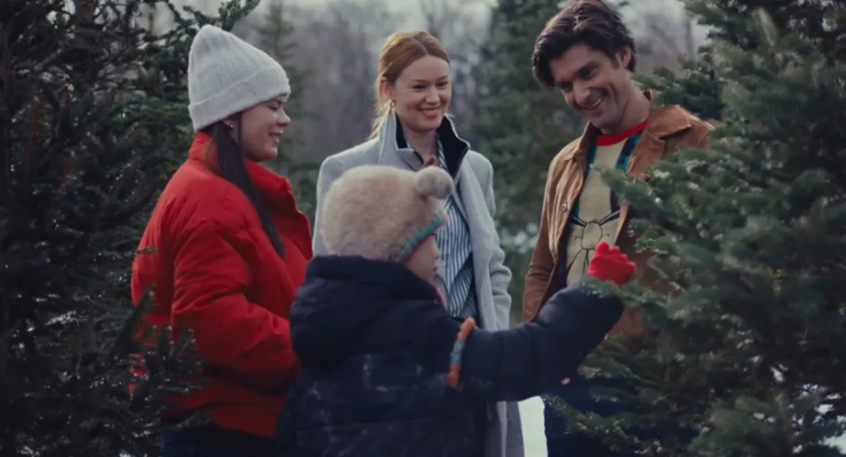 An Unexpected Christmas Plan