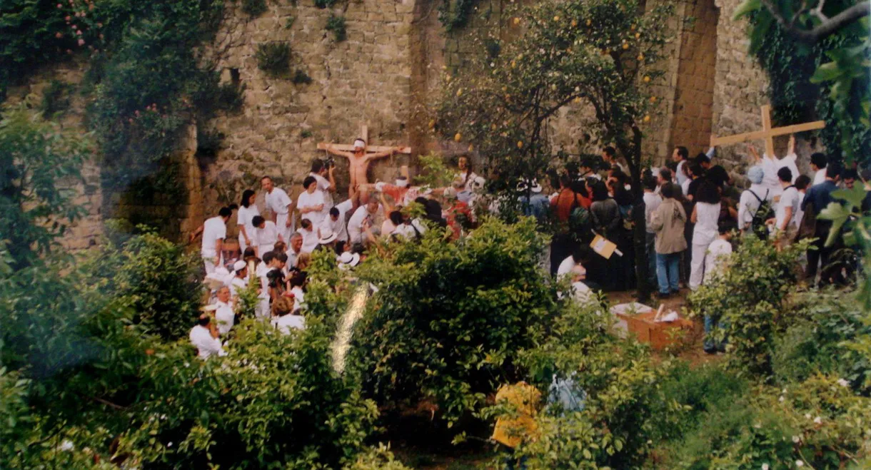 The Action Art of Hermann Nitsch from Past to Present