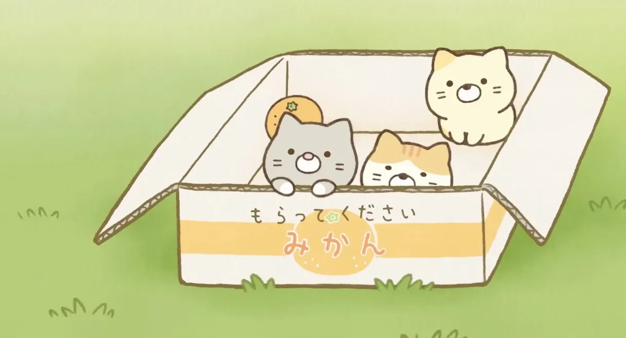 Sumikko Gurashi: Sorairo no Mainichi