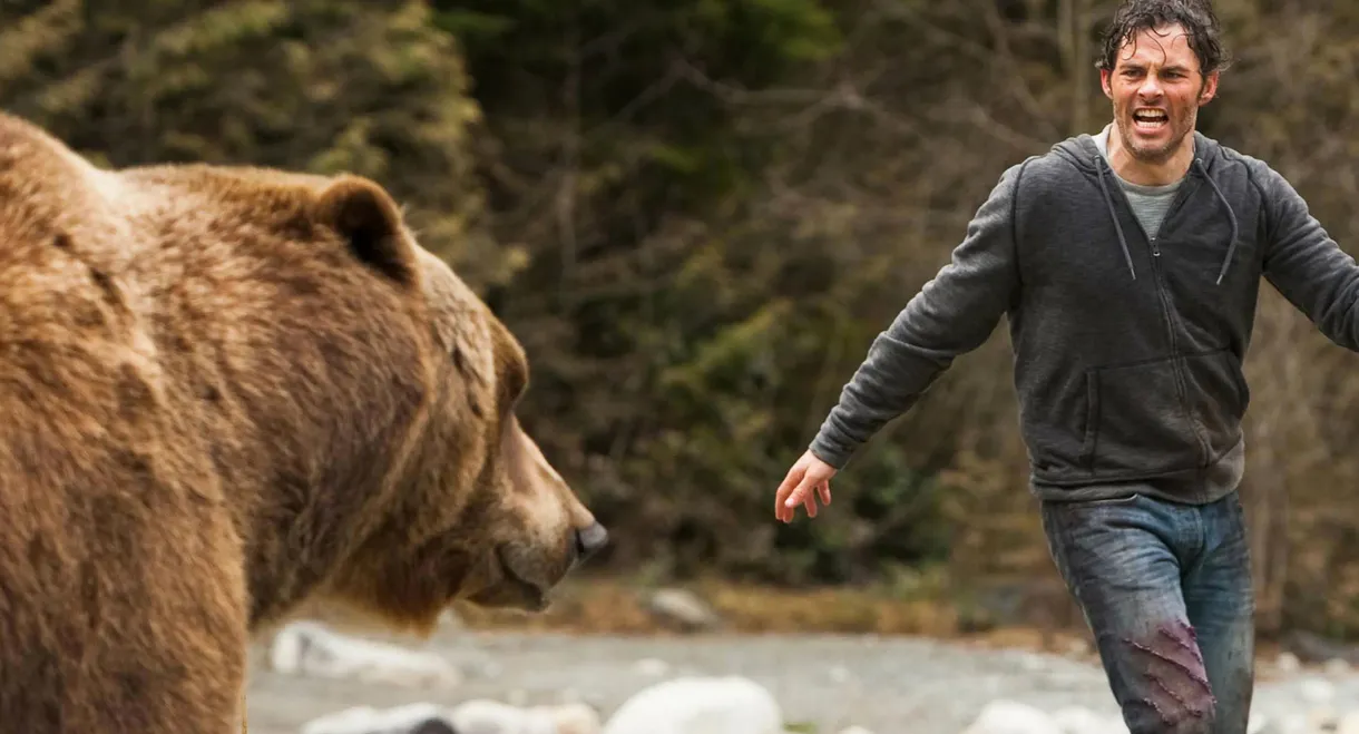 Into the Grizzly Maze